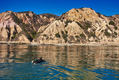 View of ducks swimming in lake