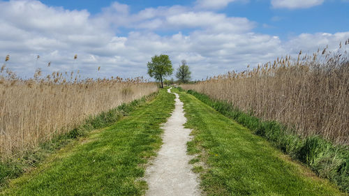 Scenic view of country road through agricultural field against cloudy sky