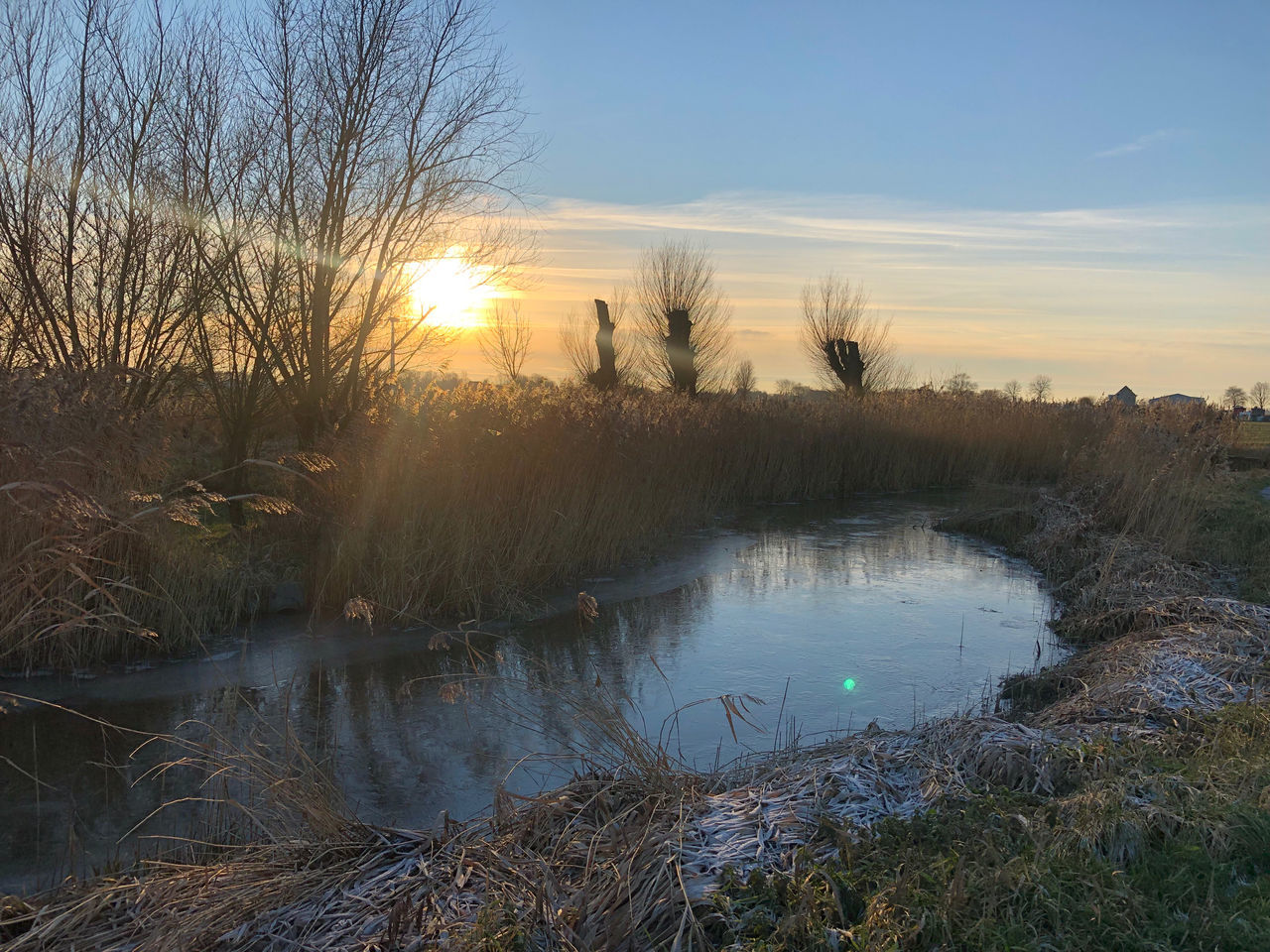 sky, reflection, plant, nature, water, morning, tree, river, beauty in nature, tranquility, scenics - nature, sun, environment, landscape, winter, no people, tranquil scene, sunrise, wilderness, grass, dawn, sunlight, non-urban scene, wetland, land, marsh, natural environment, cloud, outdoors, bare tree, rural area, twilight, autumn, reed, idyllic, pond, growth, blue