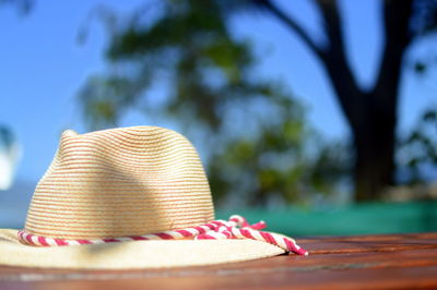 Close-up of hat on tree
