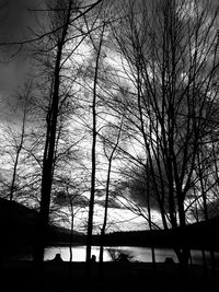 Silhouette of bare trees against sky at sunset