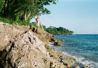 Scenic view of sea against clear sky