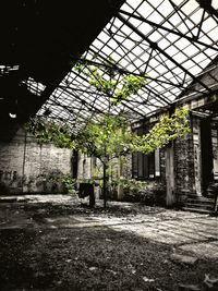 Abandoned ceiling