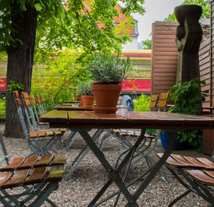 Potted plants on table in yard