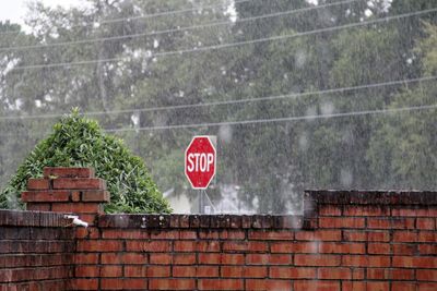 Brick wall against stop sign during rainy season