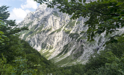 Low angle view of waterfall amidst trees against sky