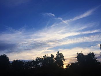 Silhouette of trees against cloudy sky