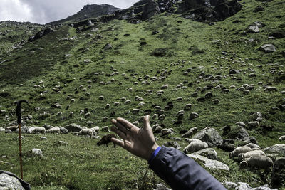 Cropped hand of man against mountain