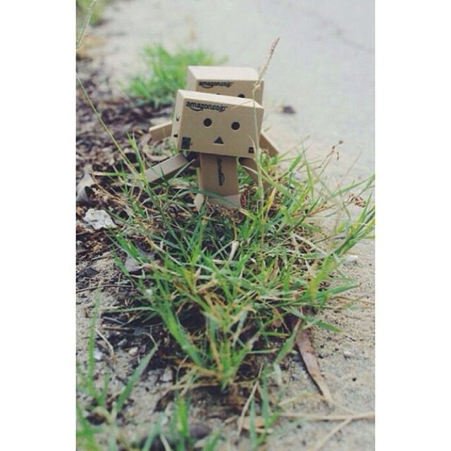 transfer print, auto post production filter, grass, field, high angle view, green color, day, selective focus, no people, outdoors, plant, close-up, built structure, building exterior, old, growth, technology, abandoned, grassy, sunlight