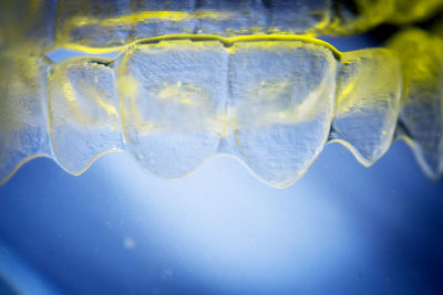 Close-up of jellyfish in sea