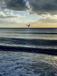 Silhouette birds flying over sea against sky