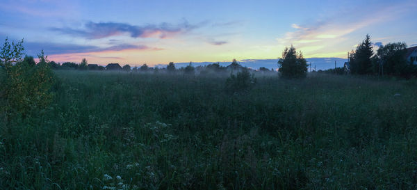 Scenic view of field against sky at sunset