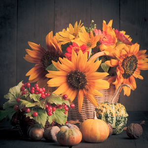 Close-up of orange flowers in vase