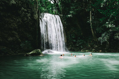 Scenic view of waterfall in forest