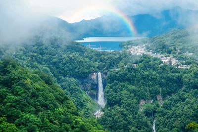 Scenic view of rainbow over waterfall in forest
