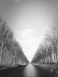 Narrow walkway along trees