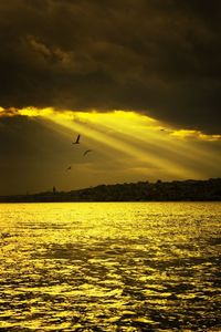 Scenic view of sea at sunset