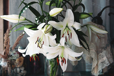 Close-up of flowers in vase