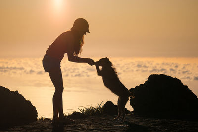 Silhouette dog on rock against sky during sunset