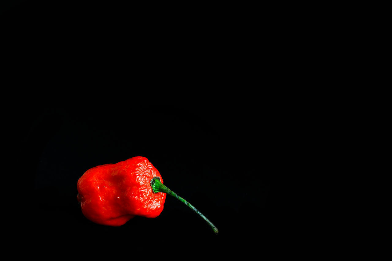 CLOSE-UP OF RED CHILI PEPPERS OVER BLACK BACKGROUND