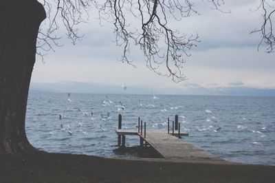 Scenic view of sea against sky