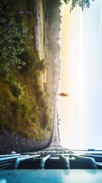 View of road along trees