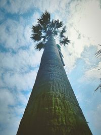 Low angle view of tree against cloudy sky