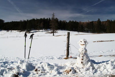 Trees on snow covered field