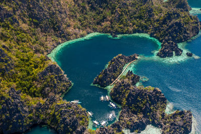 High angle view of bay and trees