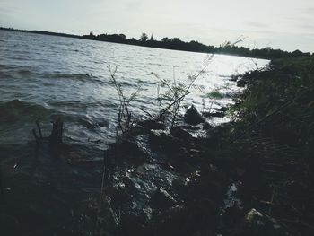 High angle view of sea shore against sky