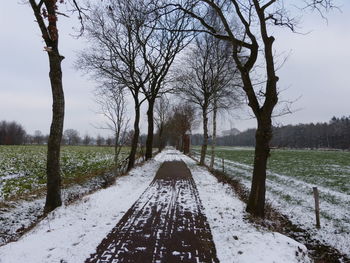 Road amidst bare trees on field during winter