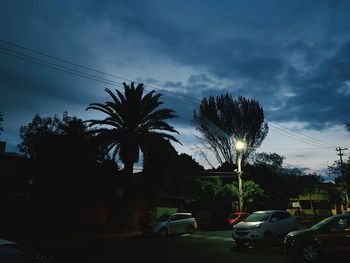 Palm trees on street against sky