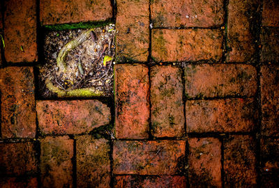 Full frame shot of brick wall