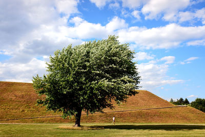 Tree on field against sky, man underneath