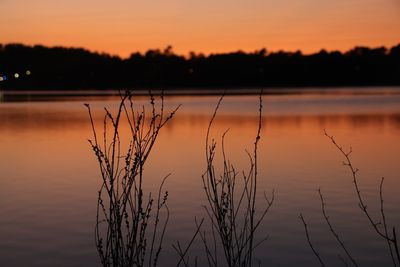 Silhouette plants by lake against romantic sky at sunset