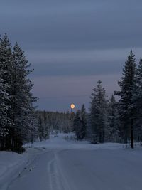 Snow covered land and trees against sky during sunset