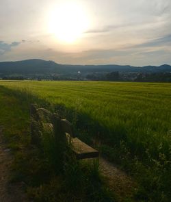 Scenic view of field against sky during sunset