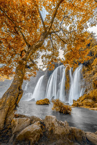 Scenic view of waterfall