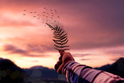 Hand holding fern with birds flying against sky during sunset
