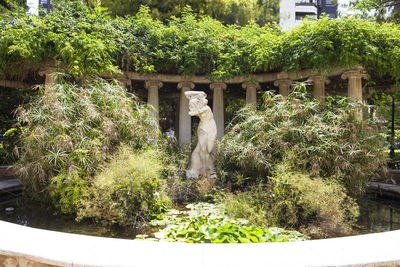 Statue amidst plants in garden