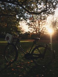 Bicycle against trees during sunset