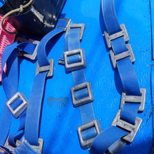 Close-up view of blue wall