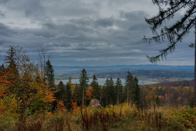 Scenic view of forest against sky during autumn