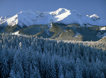 Close-up of snow on mountain against sky