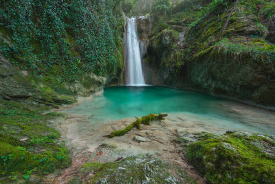 Scenic view of waterfall in forest