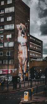 Portrait of dog on street