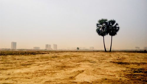 Scenic view of field against clear sky