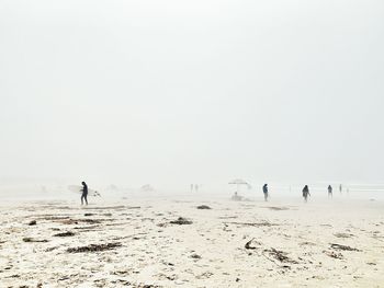 People on beach against clear sky