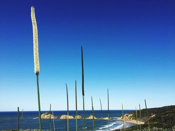 Panoramic view of beach against clear blue sky