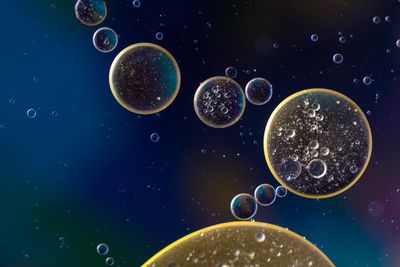 Close-up of bubbles